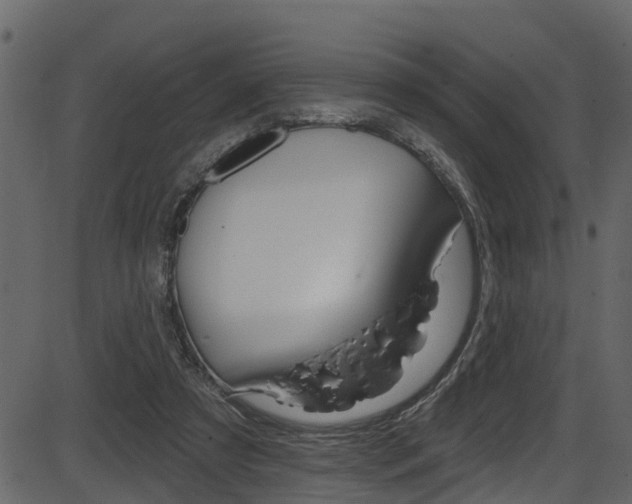 X0000086220305200703291011