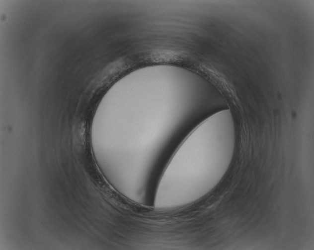 X0000086220308200703291010