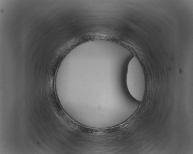 X0000086220310200703291010