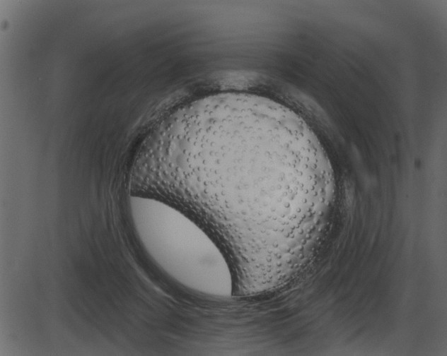 X0000086220311200703291010