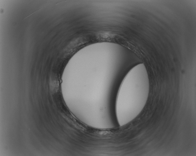 X0000086220324200703291010