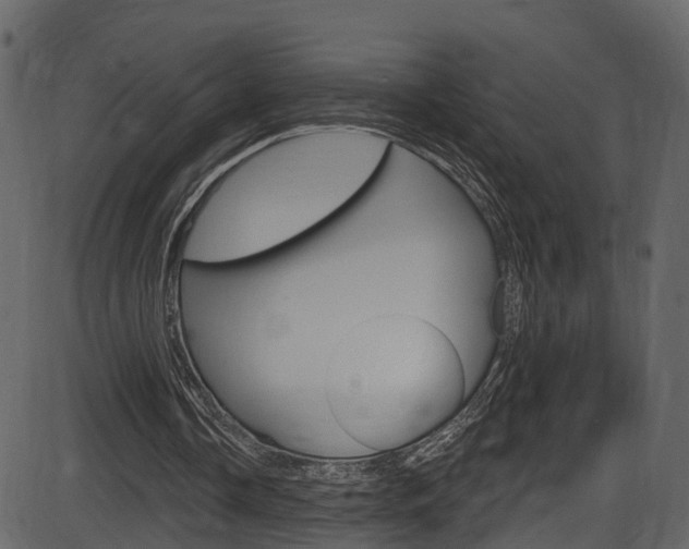 X0000086220338200703291009