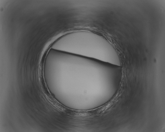 X0000086220342200703291009