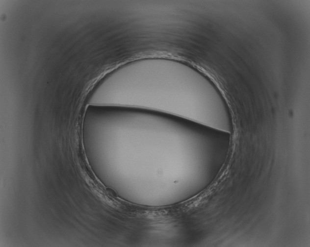 X0000086220345200703291009