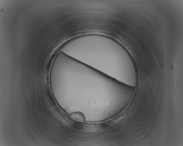 X0000086220347200703291009