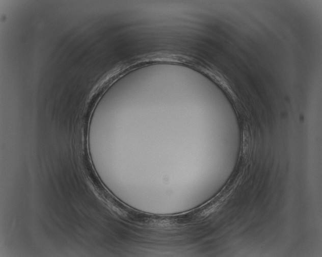 X0000086220349200703291009