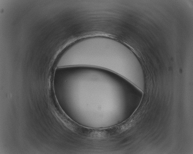 X0000086220350200703291009