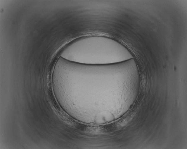 X0000086220351200703291009