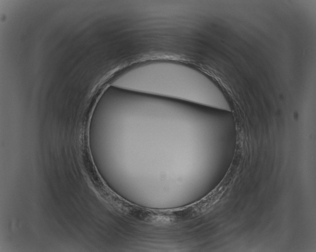 X0000086220352200703291009
