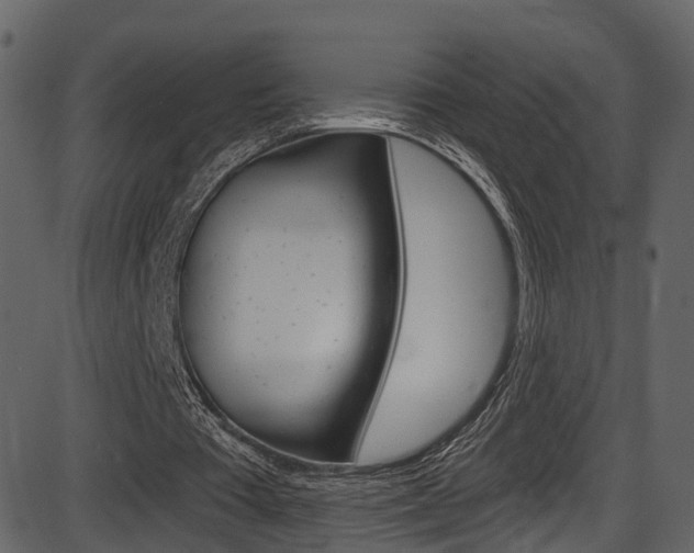 X0000086220385200703291009