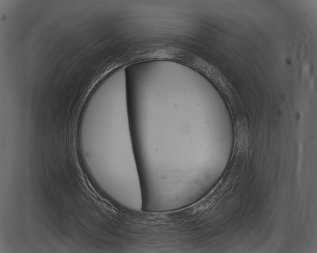 X0000086220386200703291009