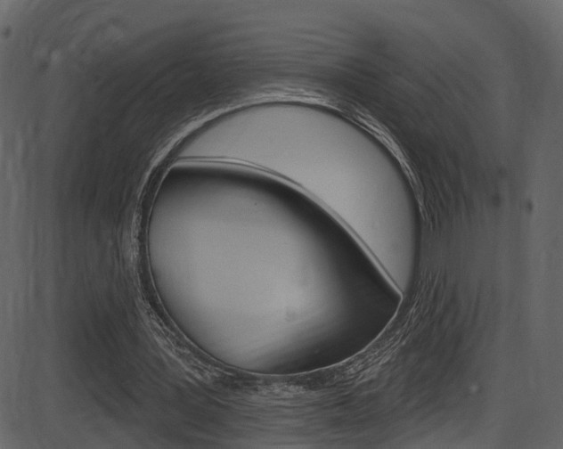 X0000086220387200703291009