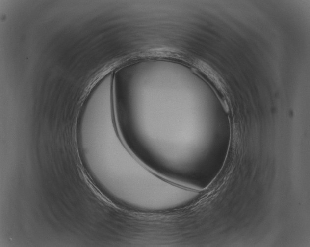 X0000086220389200703291009