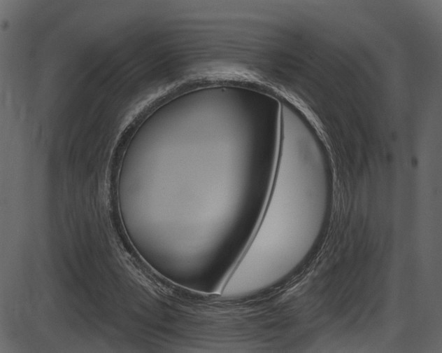 X0000086220391200703291009