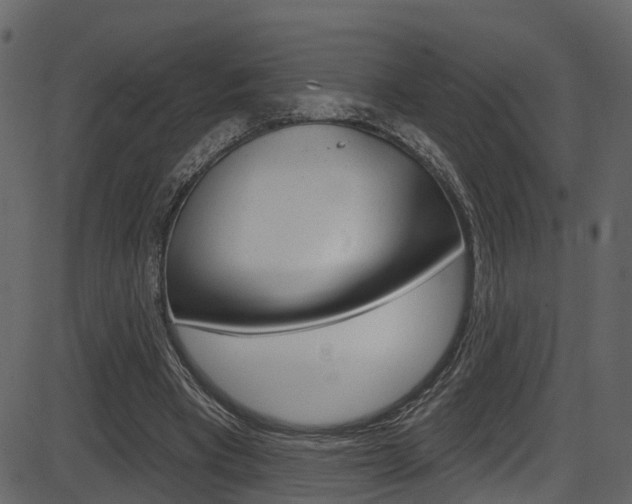 X0000086220393200703291009
