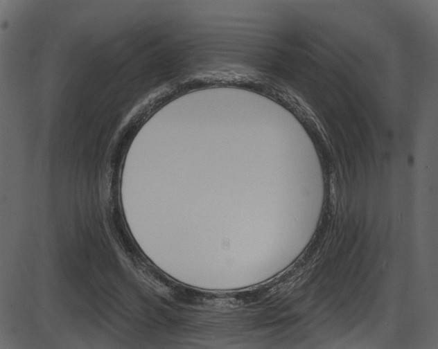 X0000086220396200703291009