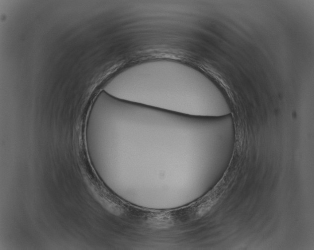 X0000086220398200703291009