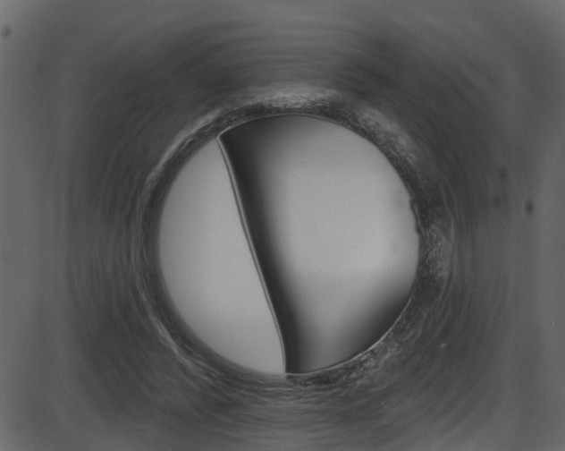 X0000086220400200703291009
