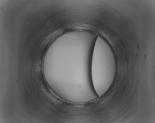 X0000086220402200703291009