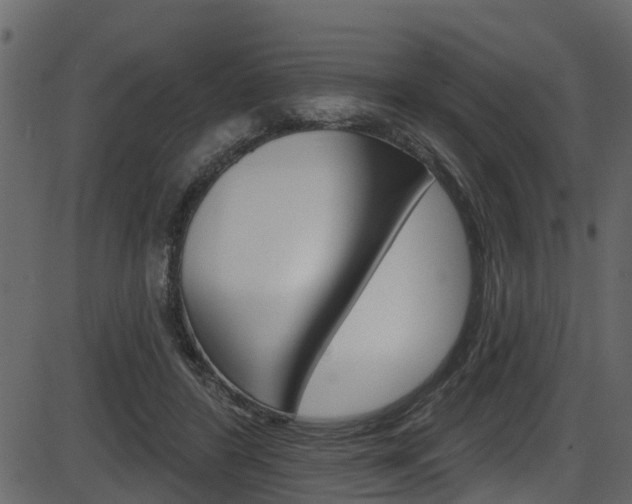 X0000086220404200703291009