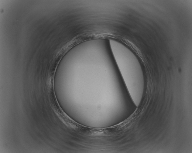 X0000086220405200703291009