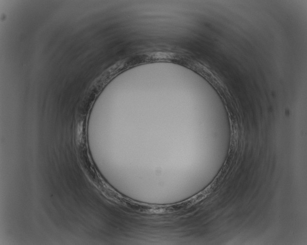 X0000086220406200703291009