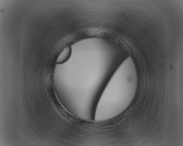 X0000086220408200703291009
