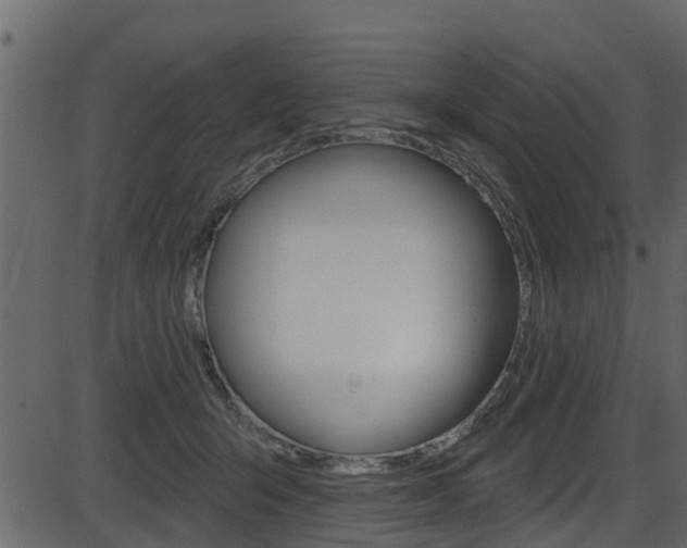 X0000086220415200703291009