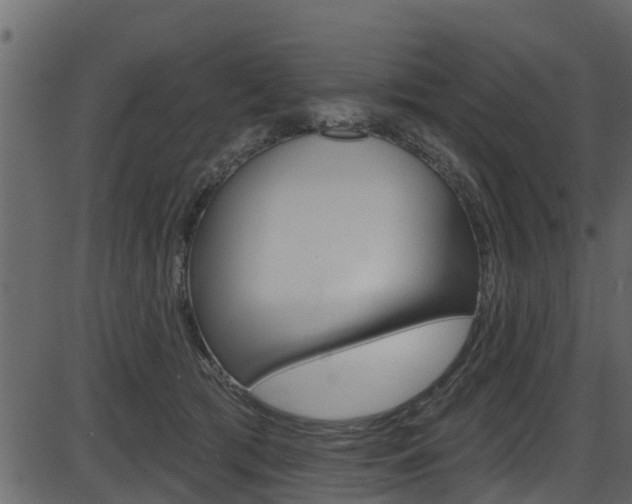 X0000086220417200703291009
