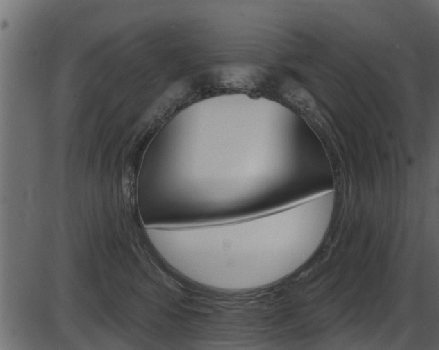 X0000086220424200703291009