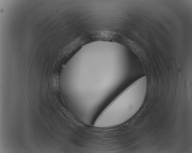 X0000086220425200703291009