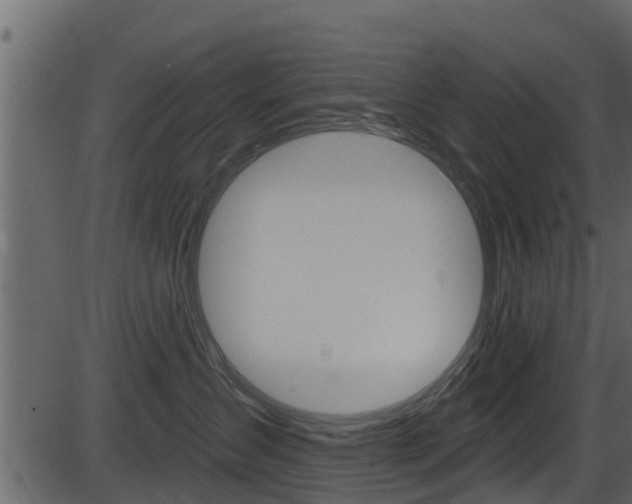 X0000086220431200703291008