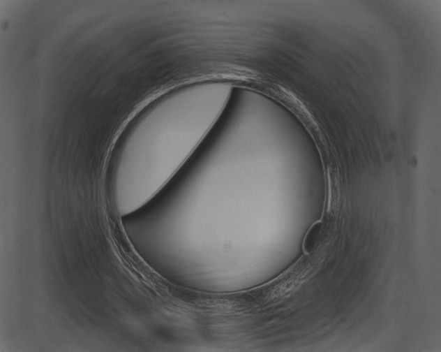 X0000086220435200703291008