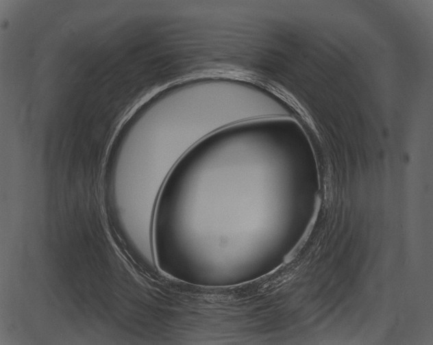 X0000086220436200703291008