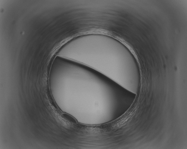 X0000086220437200703291008