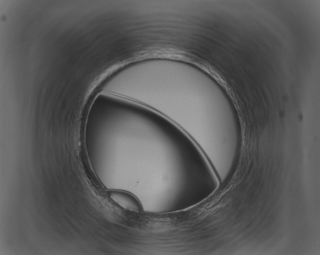 X0000086220438200703291008