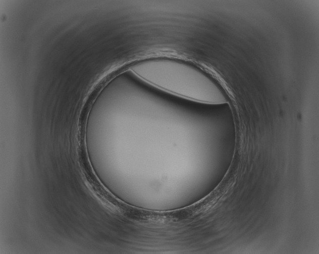 X0000086220439200703291008