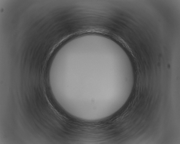 X0000086220444200703291008
