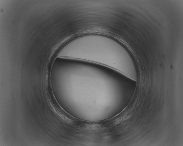 X0000086220446200703291008