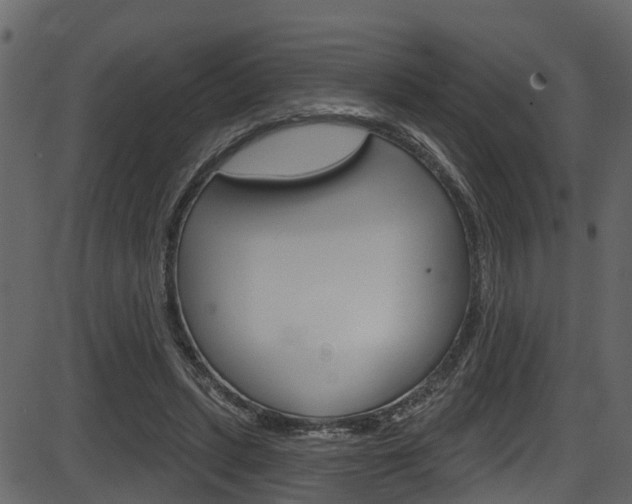 X0000086220447200703291008