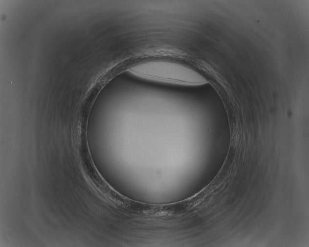 X0000086220448200703291008