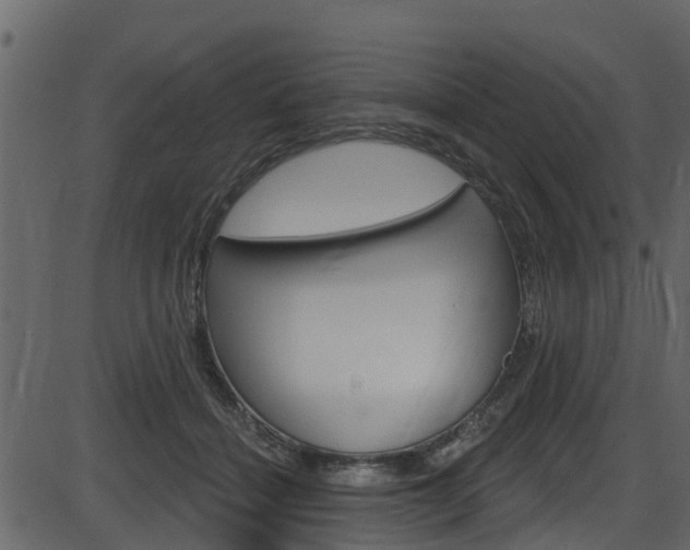 X0000086220460200703291008