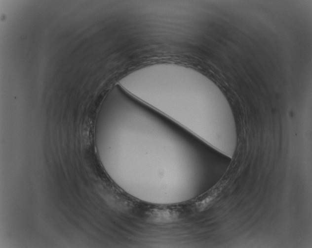 X0000086220464200703291008