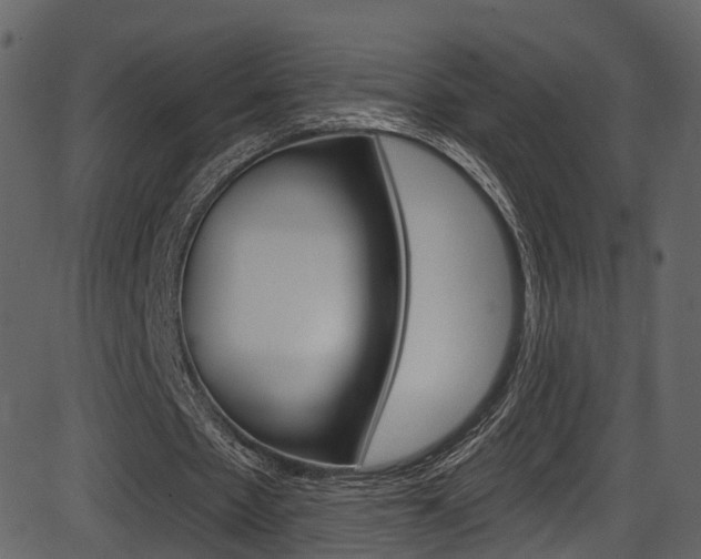 X0000086220481200703291008