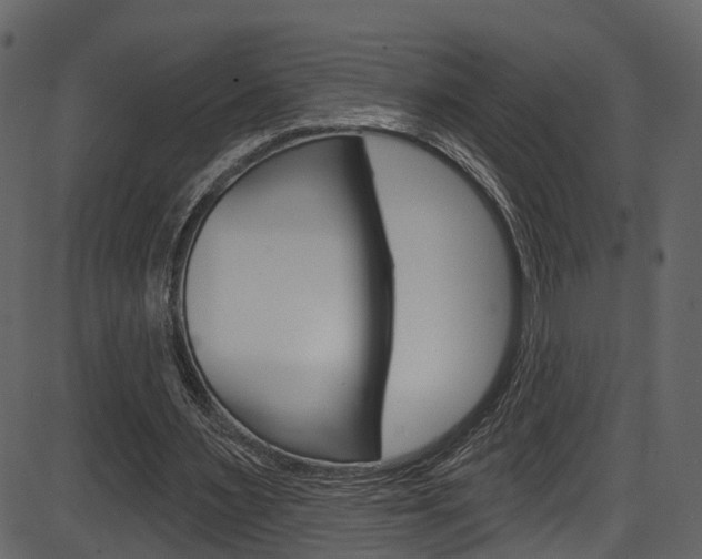 X0000086220483200703291008
