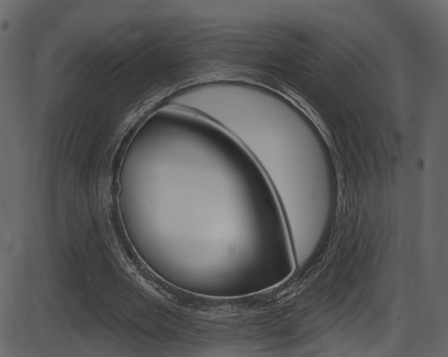 X0000086220485200703291007