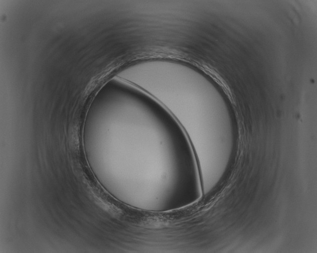 X0000086220489200703291007