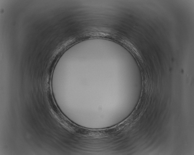 X0000086220490200703291007