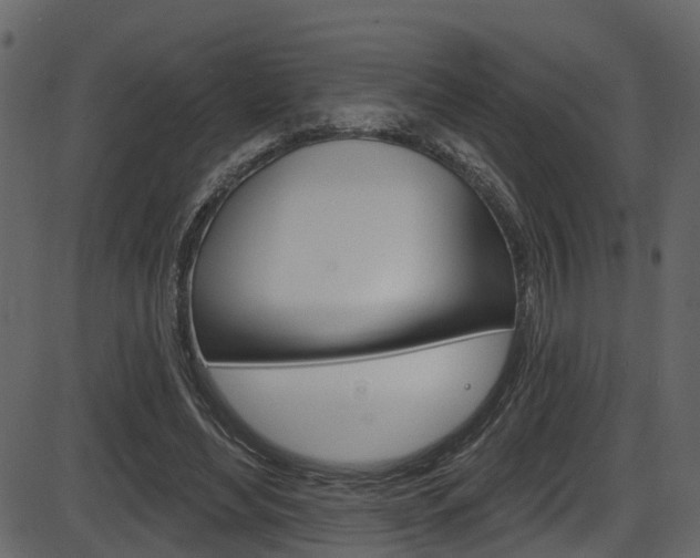 X0000086220492200703291007