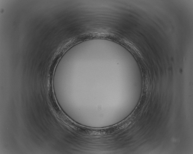 X0000086220494200703291007